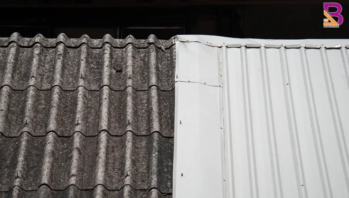 metal roof vs shingles